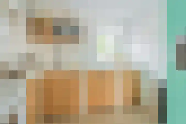 Grondmolen 3 Papendrecht thumbnail 9