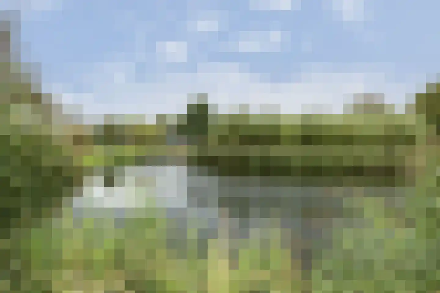 Grondmolen 5 Barendrecht thumbnail 6