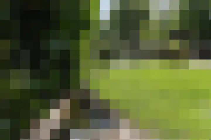 Grondmolen 61 Papendrecht thumbnail 31