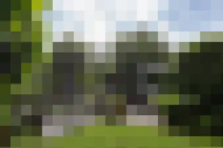 Grondmolen 61 Papendrecht thumbnail 32