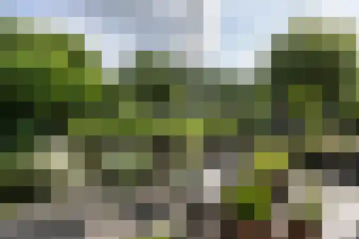 Grondmolen 61 Papendrecht thumbnail 33