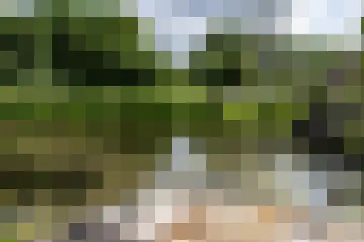 Grondmolen 61 Papendrecht thumbnail 34