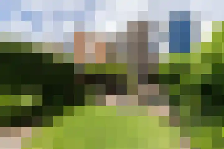 Grondmolen 61 Papendrecht thumbnail 36