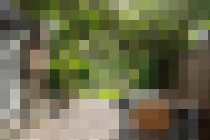 Grondmolen 61 Papendrecht thumbnail 4