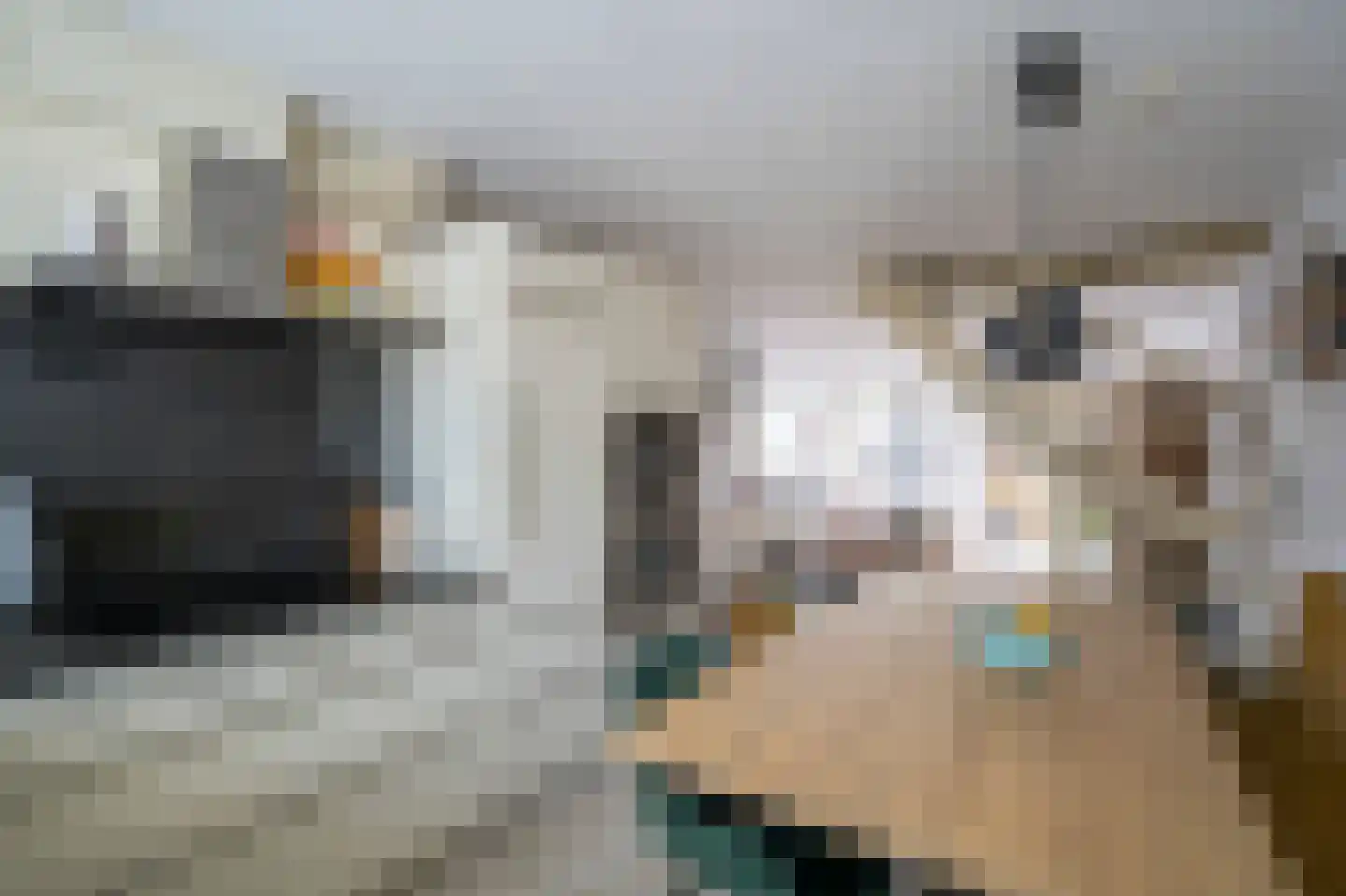 Grondmolen 79 Papendrecht thumbnail 12