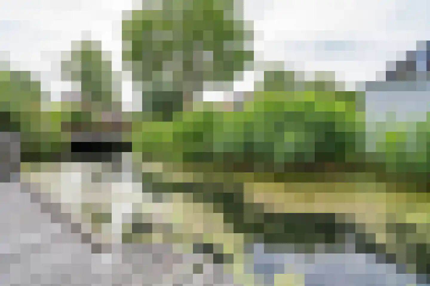 Grondmolen 79 Papendrecht thumbnail 29