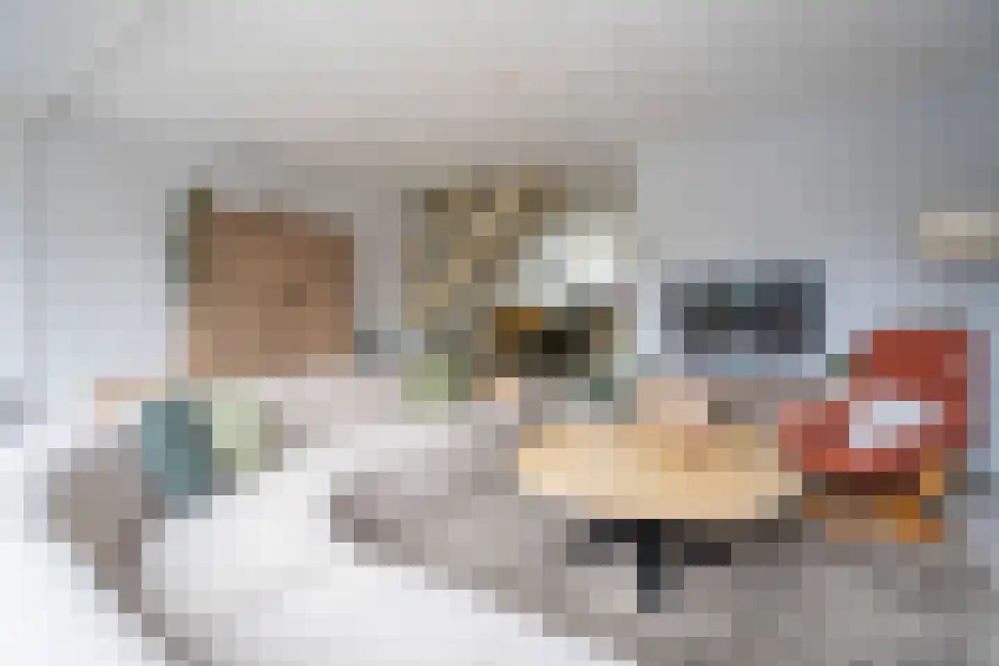 Grondmolen 79 Papendrecht thumbnail 8