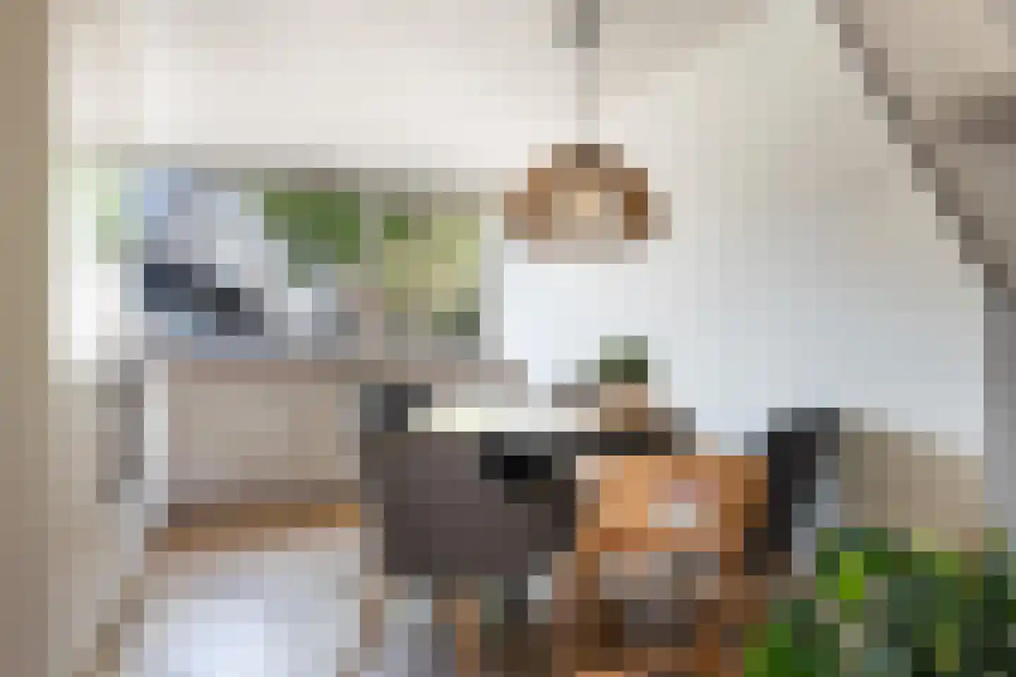 Grondmolen 85 Papendrecht thumbnail 15