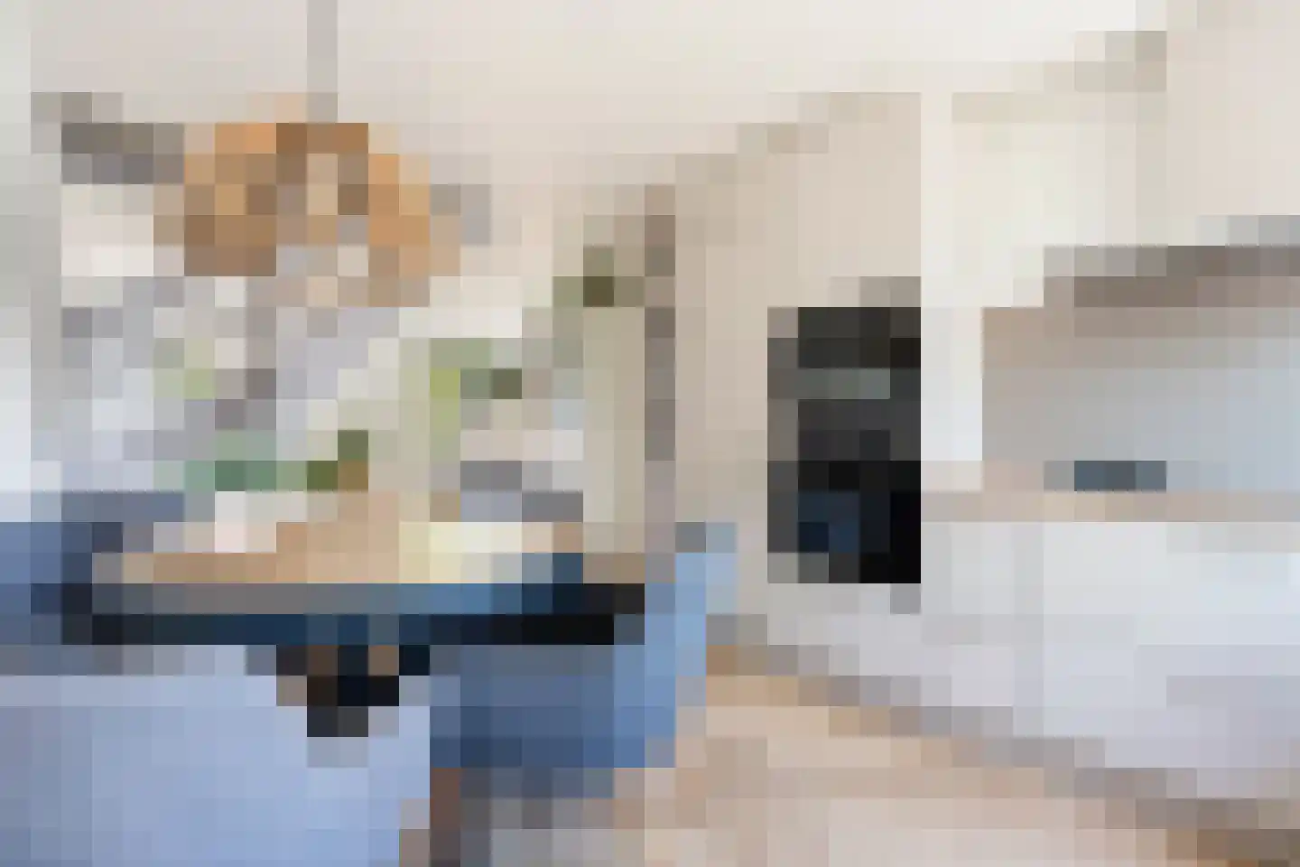 Grondmolen 85 Papendrecht thumbnail 16