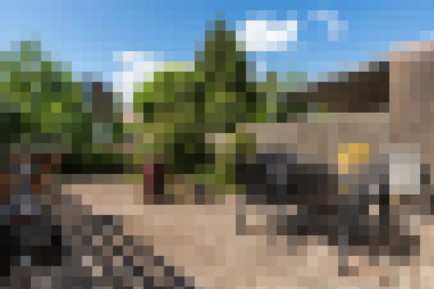 Grondmolen 85 Papendrecht thumbnail 27