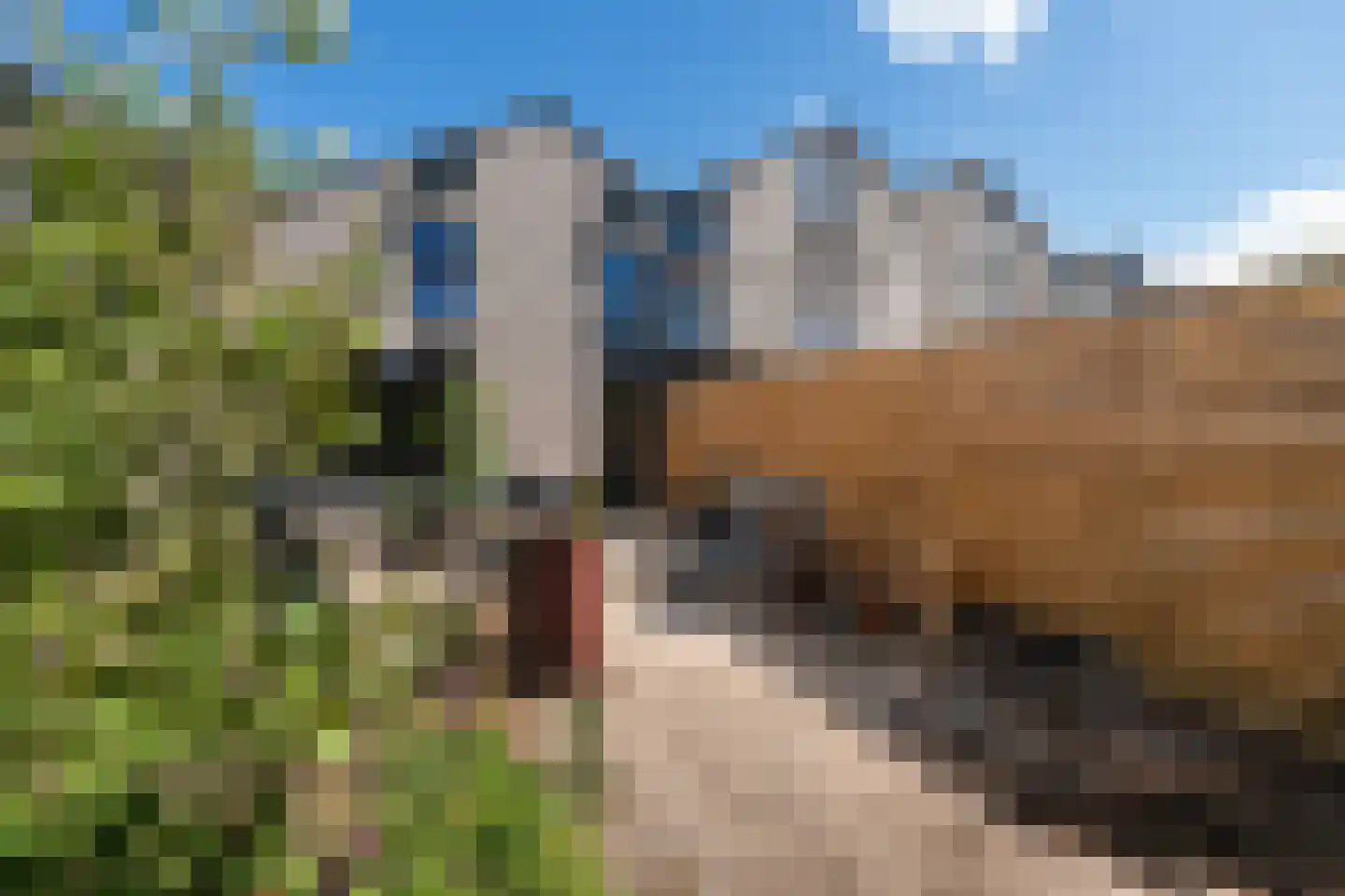 Grondmolen 85 Papendrecht thumbnail 30