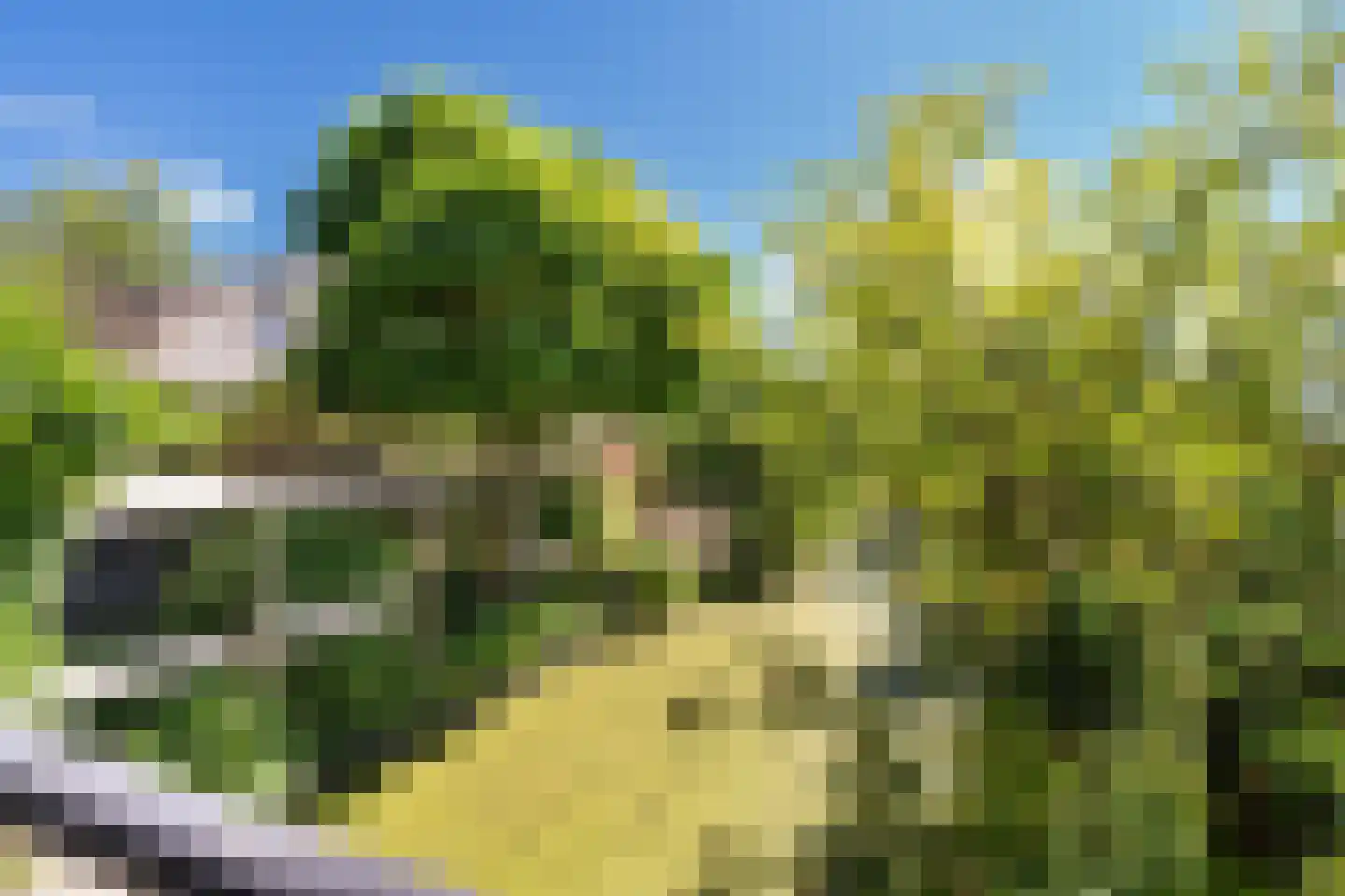 Grondmolen 85 Papendrecht thumbnail 32