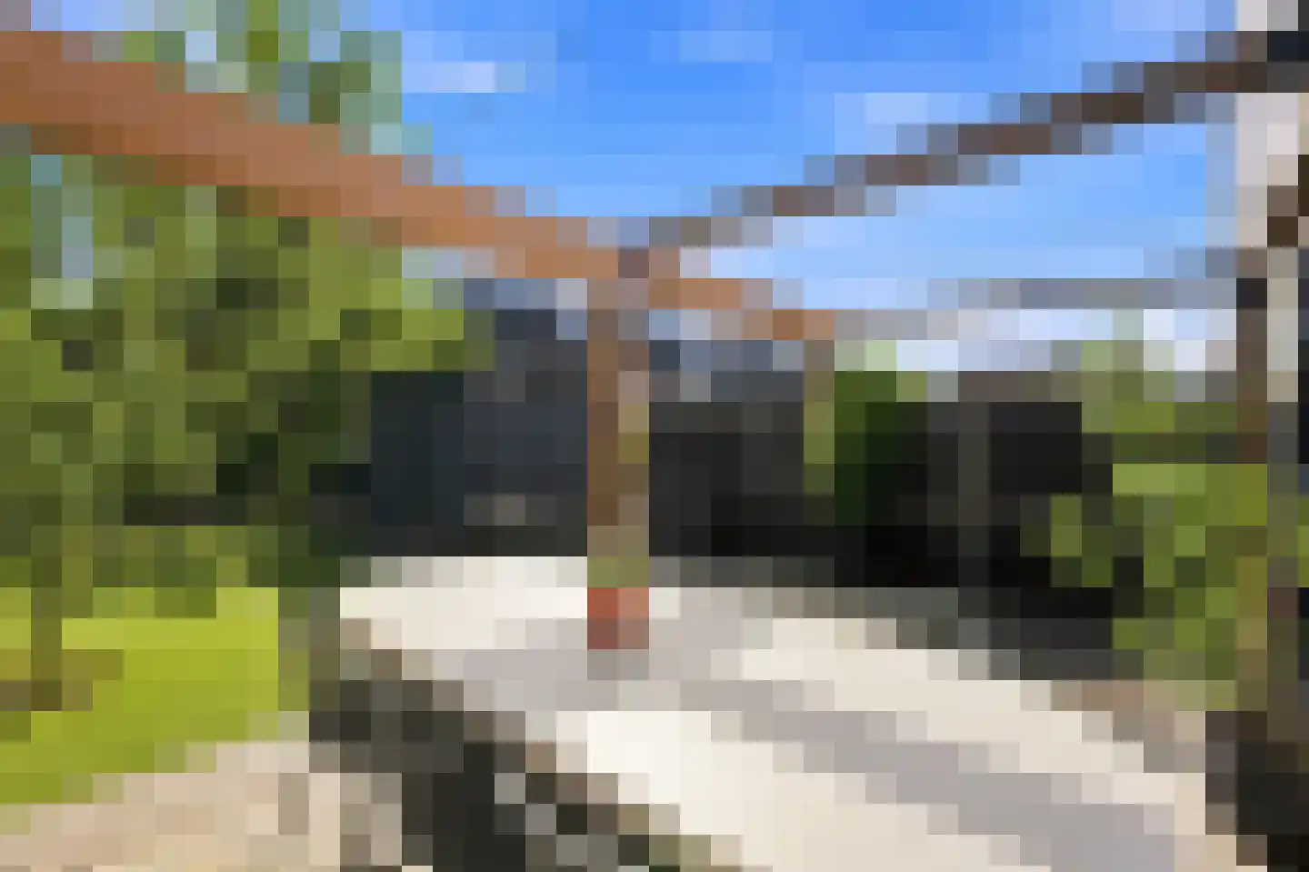 Grondmolen 94 Papendrecht thumbnail 41