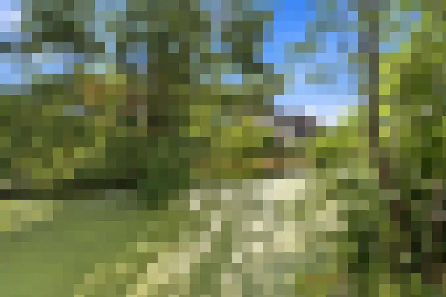 Grondmolen 94 Papendrecht thumbnail 6