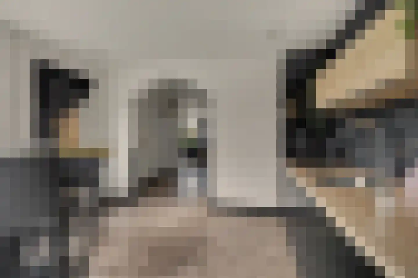 Grondster 25 a Goirle thumbnail 22