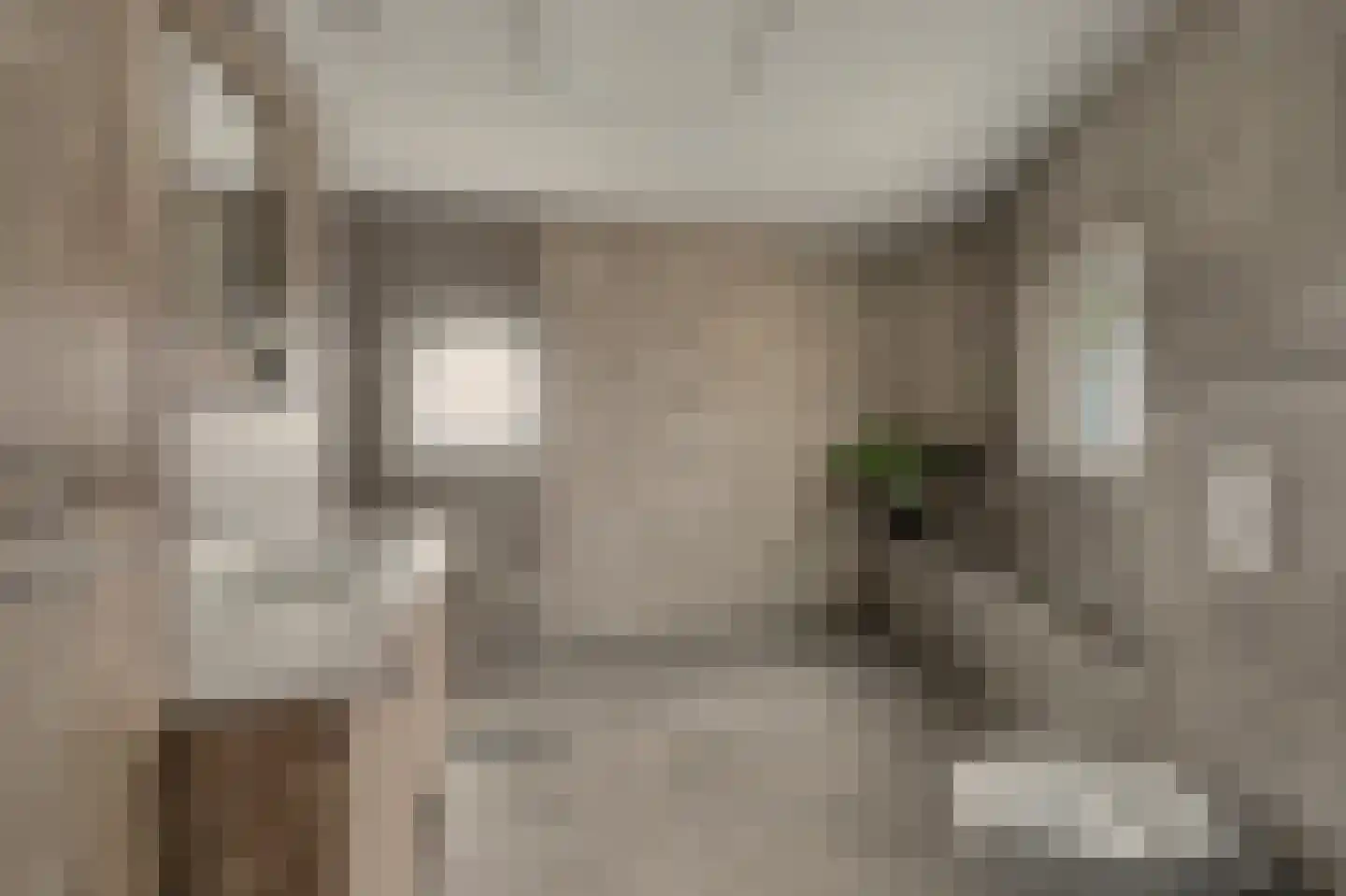 Grondster 25 a Goirle thumbnail 30