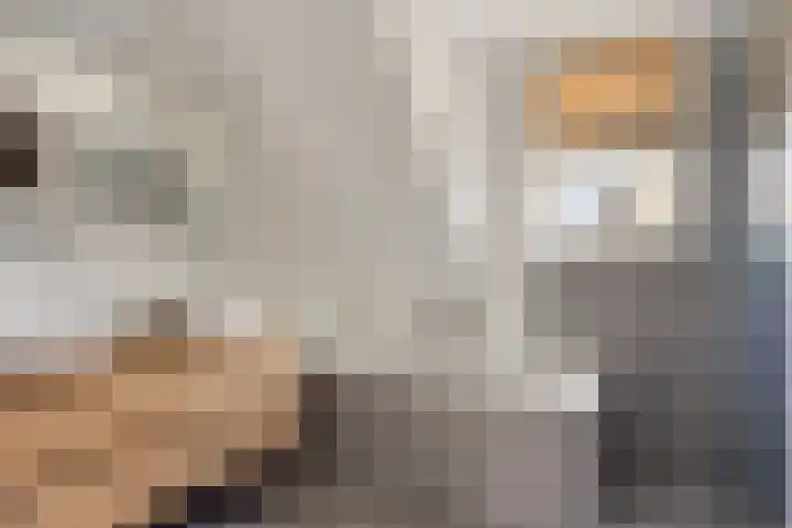Grondster 4 Goirle thumbnail 12