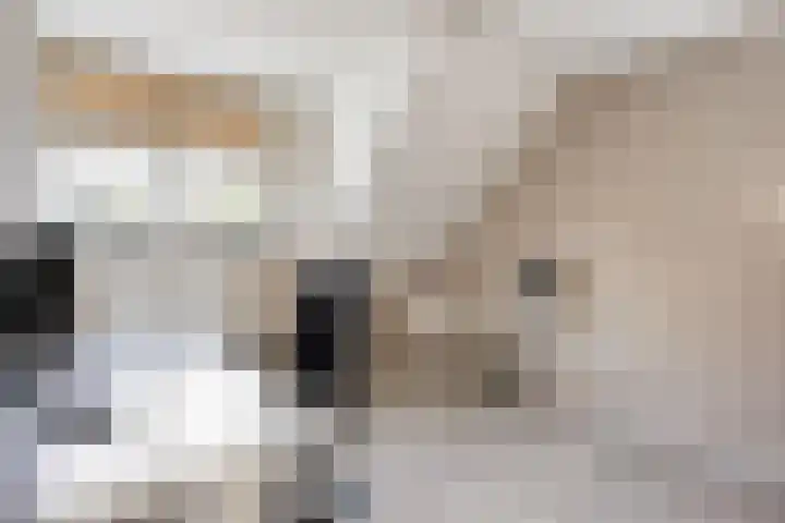 Grondster 4 Goirle thumbnail 16