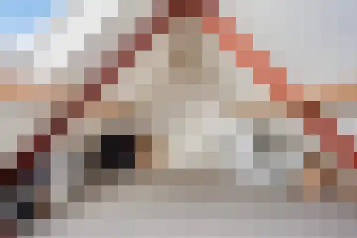 Grondster 4 Goirle thumbnail 20