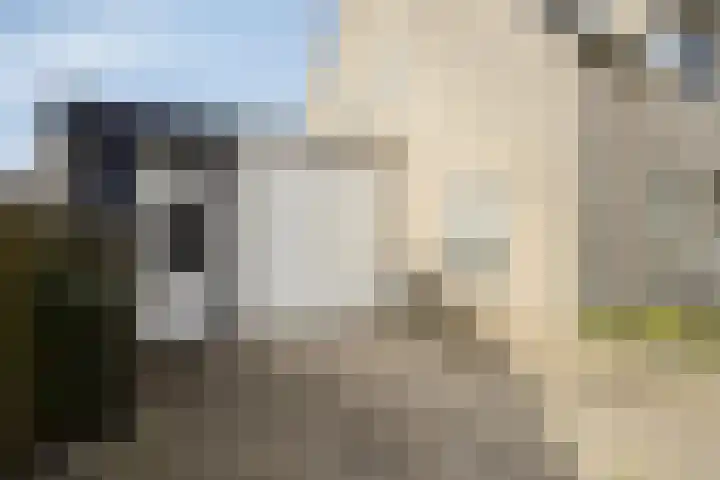 Grondster 4 Goirle thumbnail 27