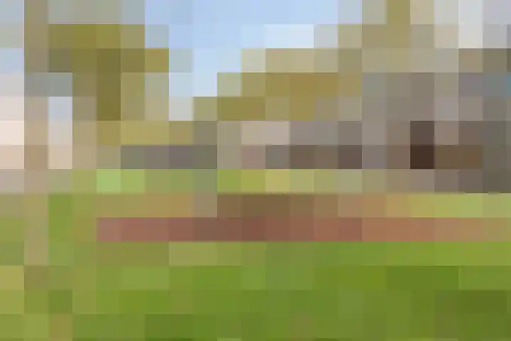 Grondster 4 Goirle thumbnail 30