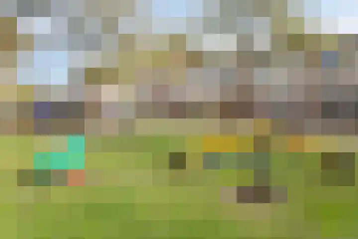Grondster 4 Goirle thumbnail 31