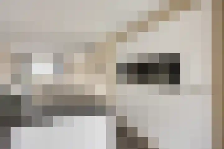 Grondster 4 Goirle thumbnail 5