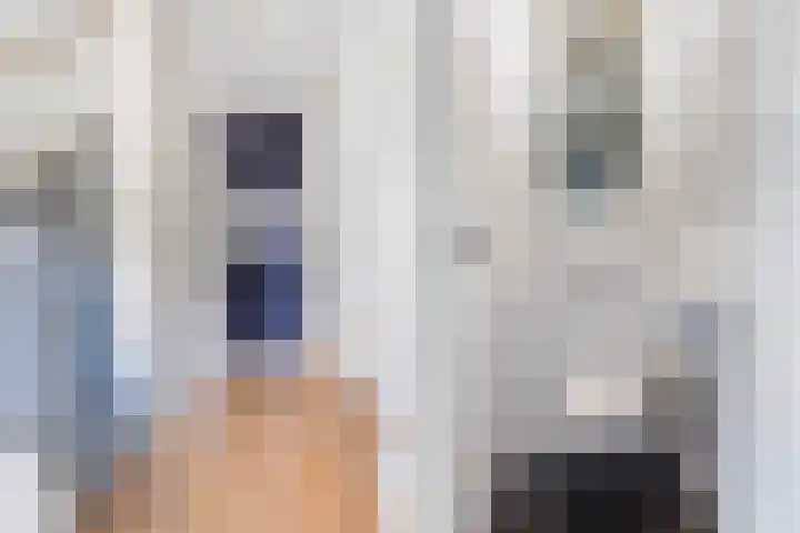Grondzeiler 19 Heerjansdam thumbnail 10