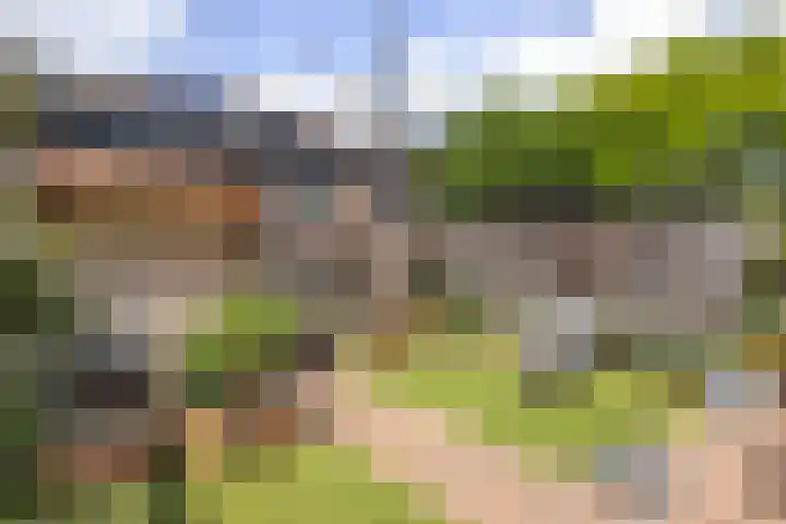 Grondzeiler 19 Heerjansdam thumbnail 21