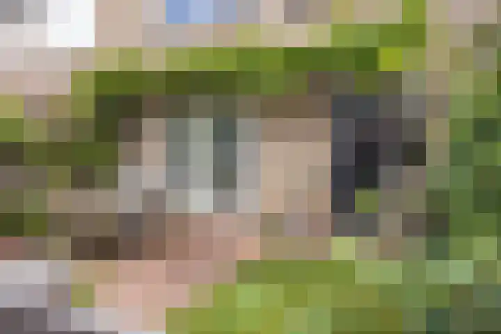 Grondzeiler 19 Heerjansdam thumbnail 22