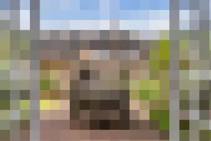 Grondzeiler 19 Heerjansdam thumbnail 4