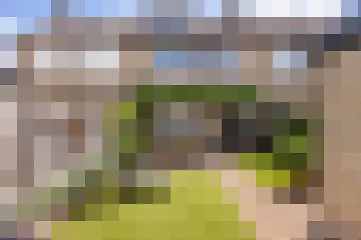Grondzeiler 19 Heerjansdam thumbnail 5
