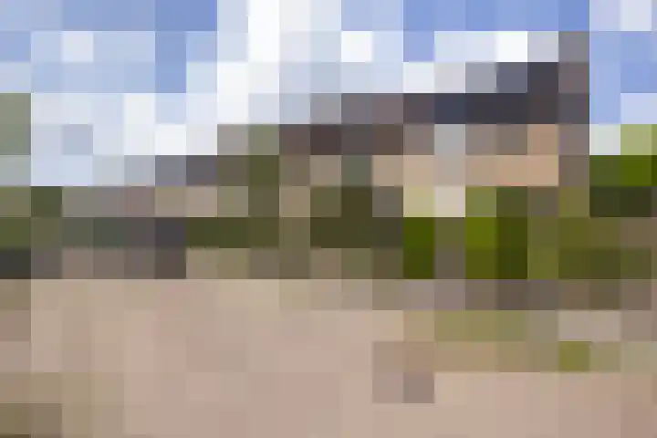 Grondzeiler 19 Heerjansdam thumbnail 6