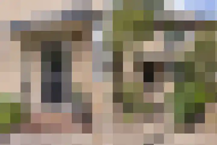 Grondzeiler 19 Heerjansdam thumbnail 8