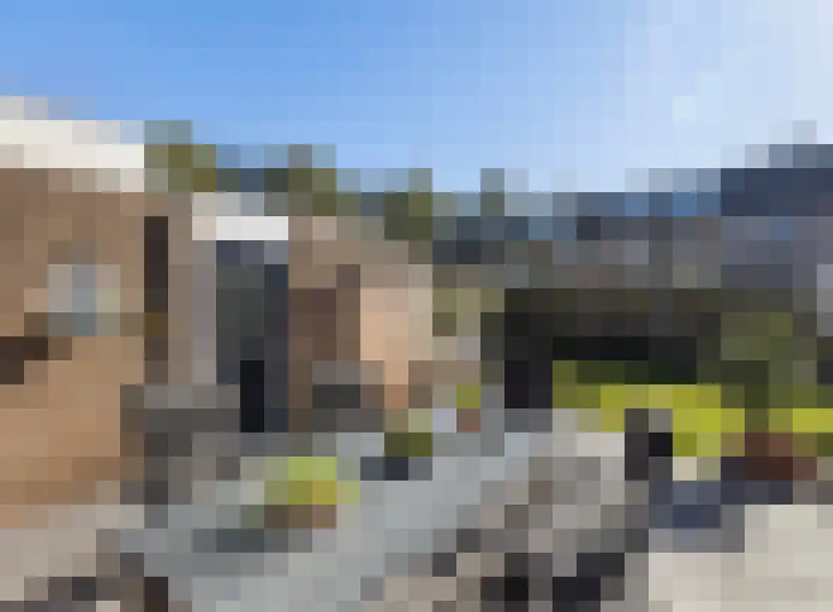 Grondzeiler 2 Maassluis thumbnail 23