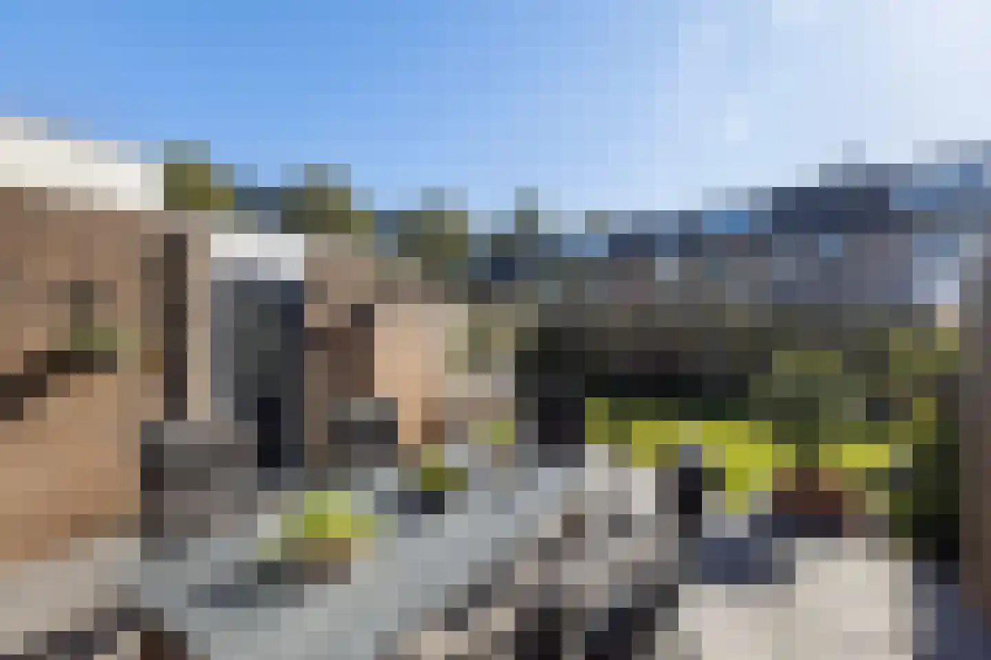 Grondzeiler 2 Maassluis thumbnail 24