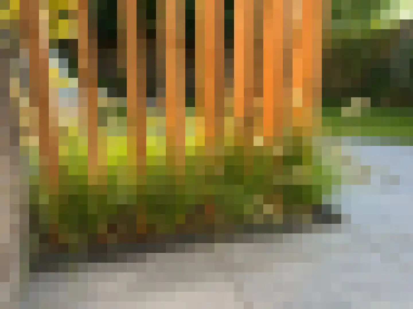 Grondzeiler 2 Maassluis thumbnail 25