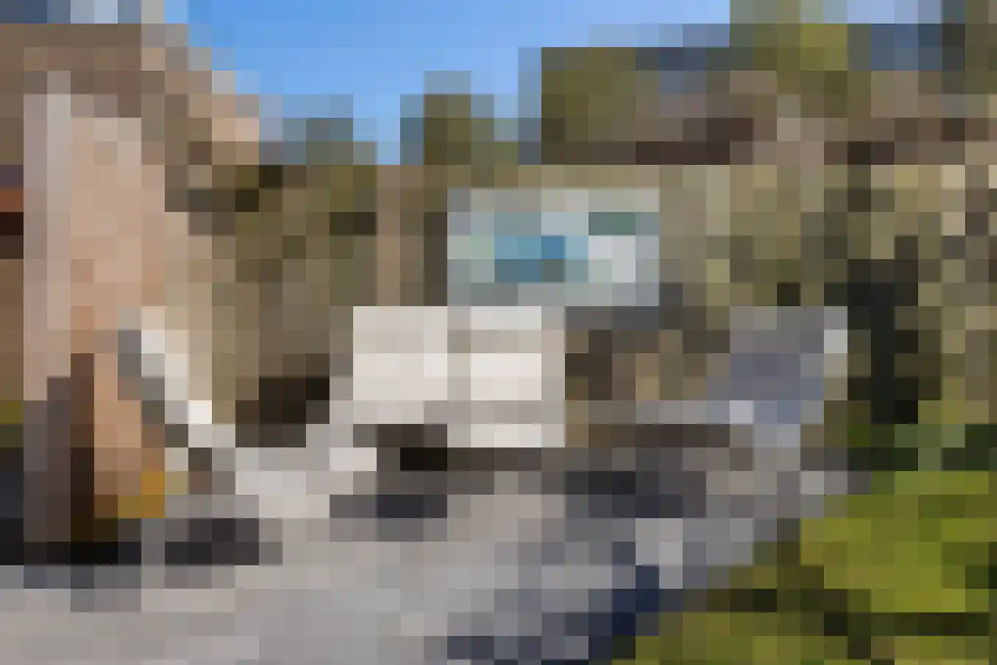 Grondzeiler 2 Maassluis thumbnail 27