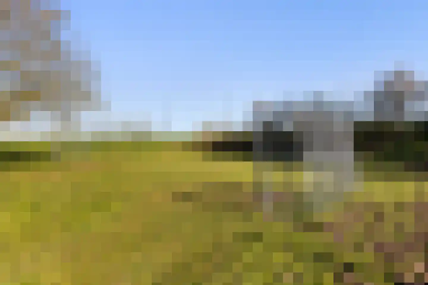 Grondzeiler 2 Maassluis thumbnail 52