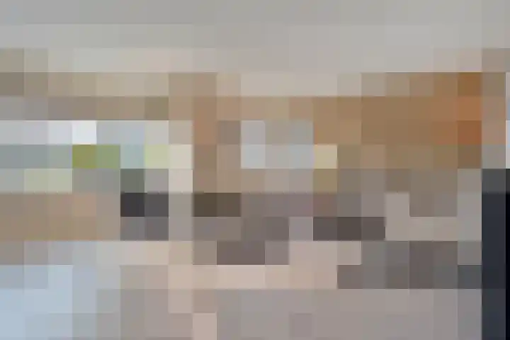 Grondzeiler 3 Dalen thumbnail 10