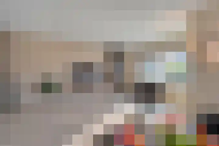Grondzeiler 3 Dalen thumbnail 12