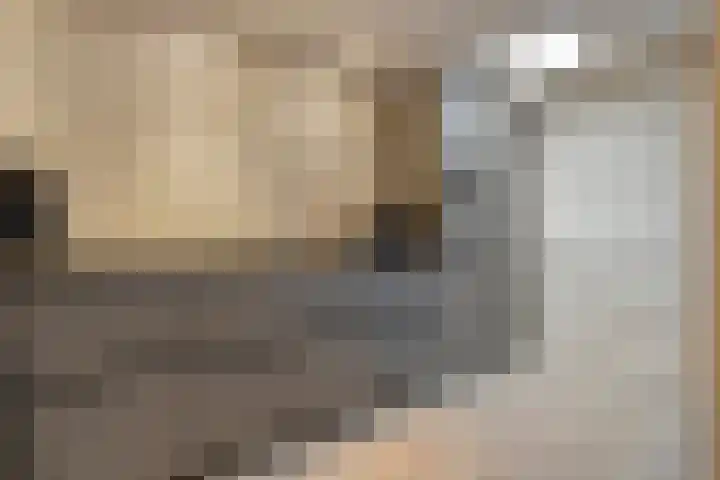 Grondzeiler 3 Dalen thumbnail 19