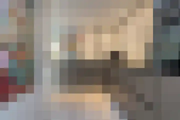 Grondzeiler 3 Dalen thumbnail 20