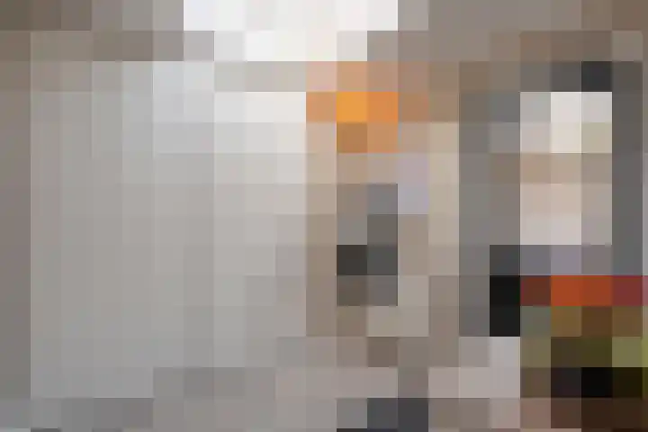 Grondzeiler 3 Dalen thumbnail 21