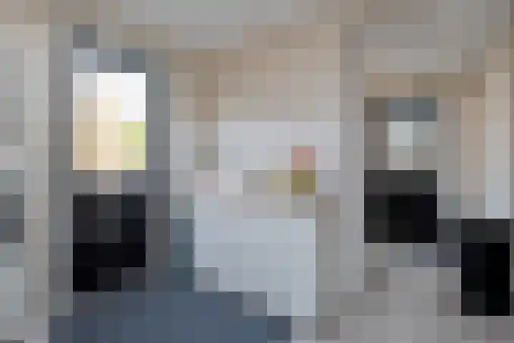Grondzeiler 3 Dalen thumbnail 22
