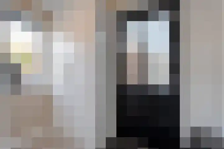 Grondzeiler 3 Dalen thumbnail 23