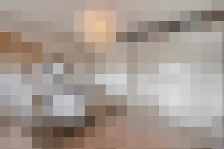 Grondzeiler 3 Dalen thumbnail 24