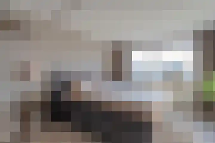 Grondzeiler 3 Dalen thumbnail 29