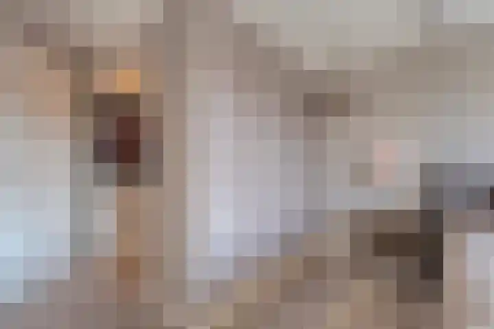 Grondzeiler 3 Dalen thumbnail 30