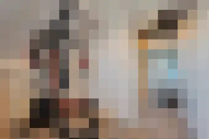 Grondzeiler 3 Dalen thumbnail 39